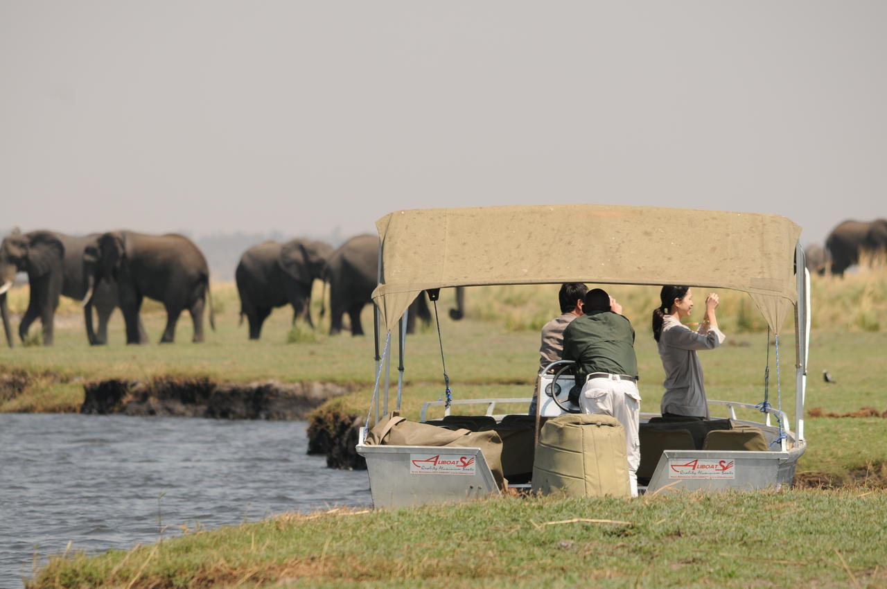 Ngoma Safari Lodge Kavimba Экстерьер фото