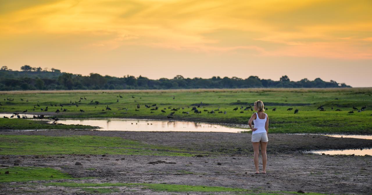 Ngoma Safari Lodge Kavimba Экстерьер фото