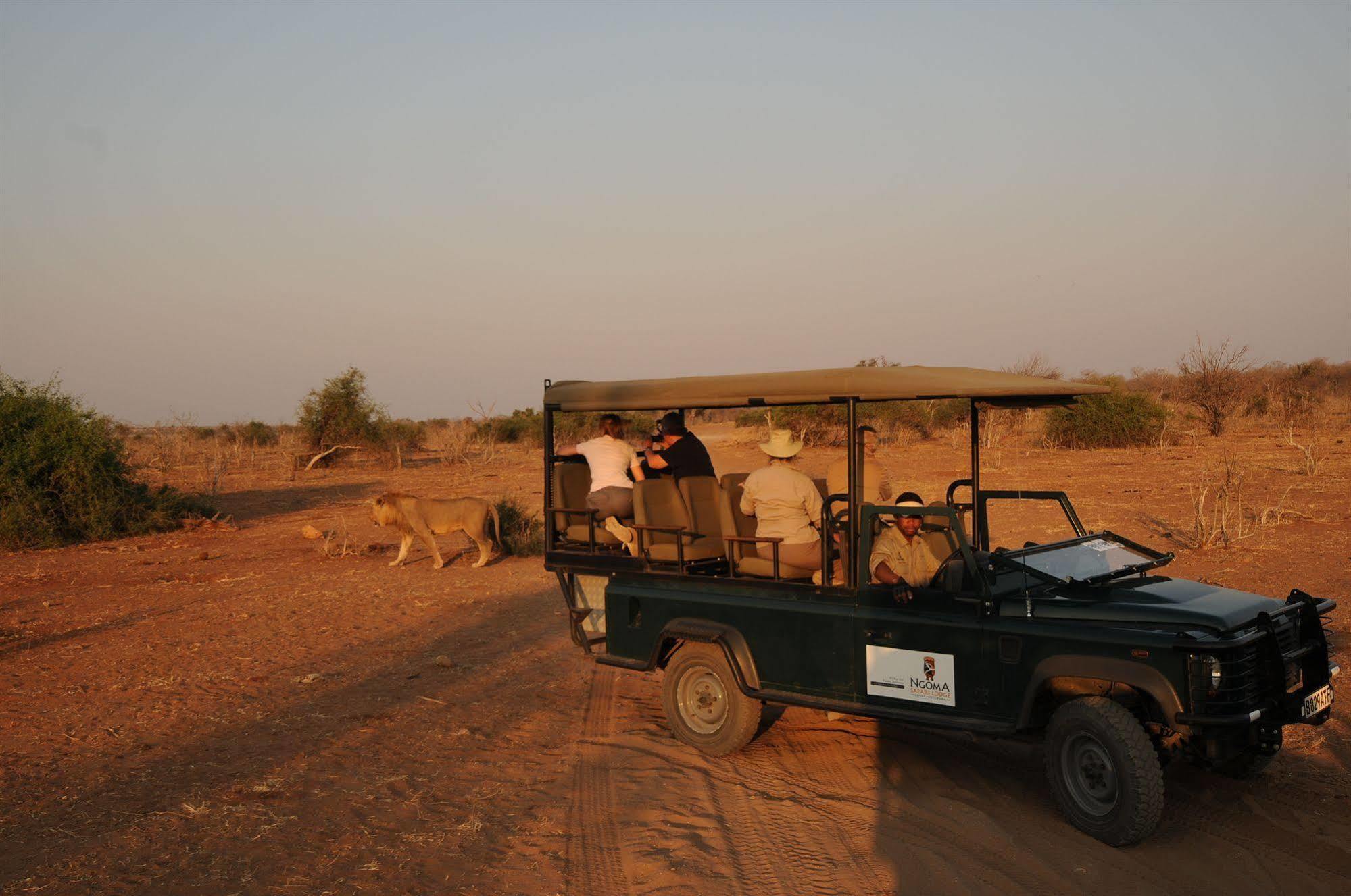 Ngoma Safari Lodge Kavimba Экстерьер фото