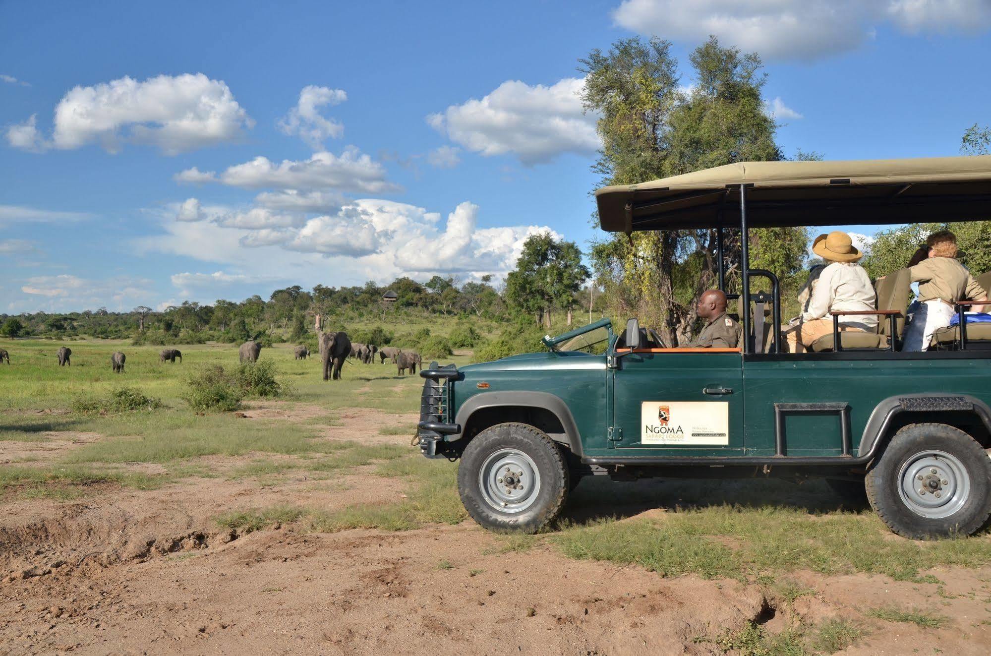 Ngoma Safari Lodge Kavimba Экстерьер фото