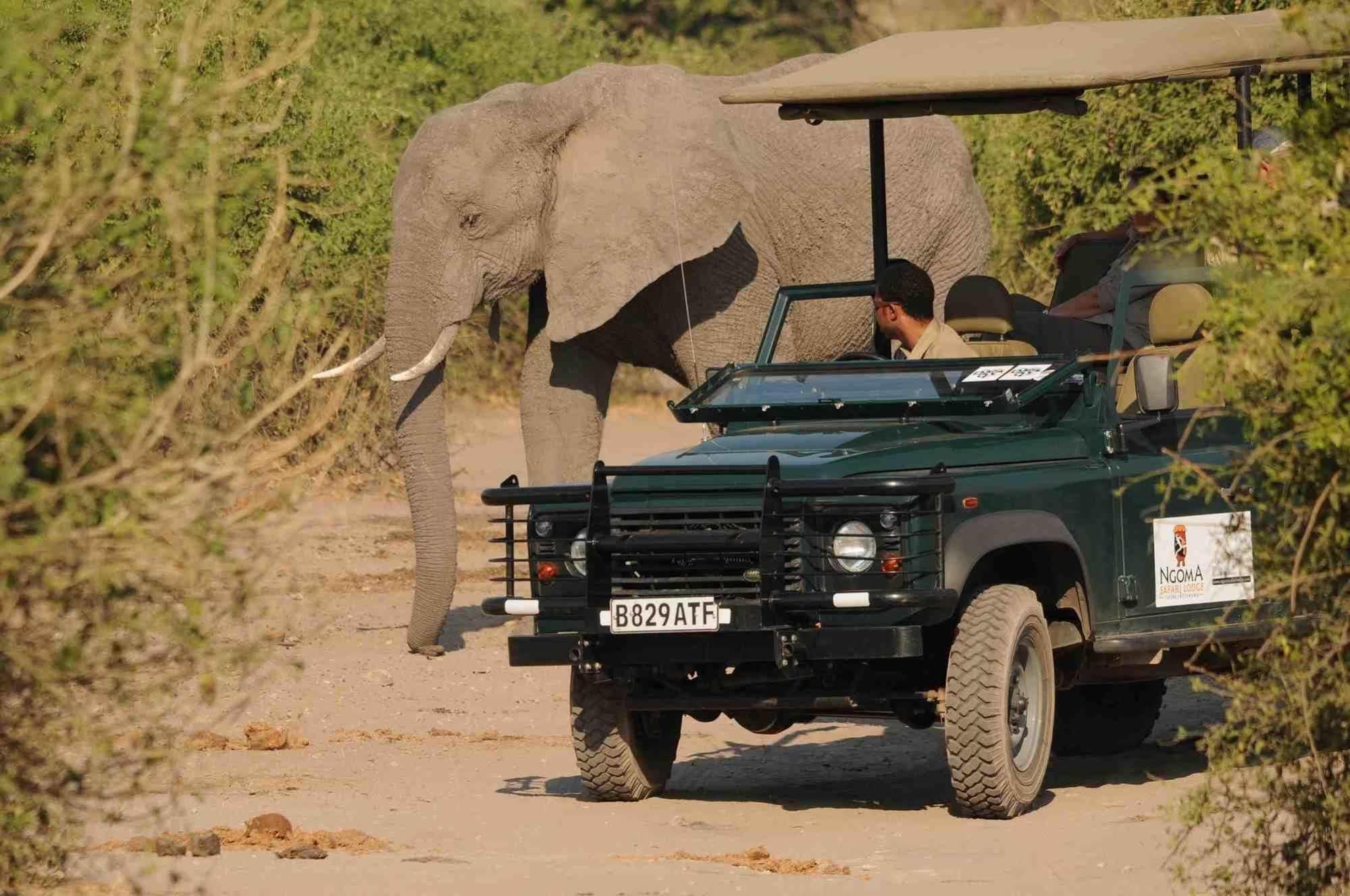Ngoma Safari Lodge Kavimba Экстерьер фото